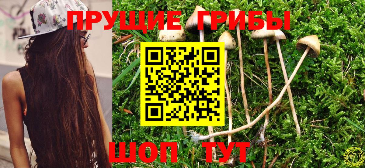Псилоцибиновые грибы прущие грибы Озёры