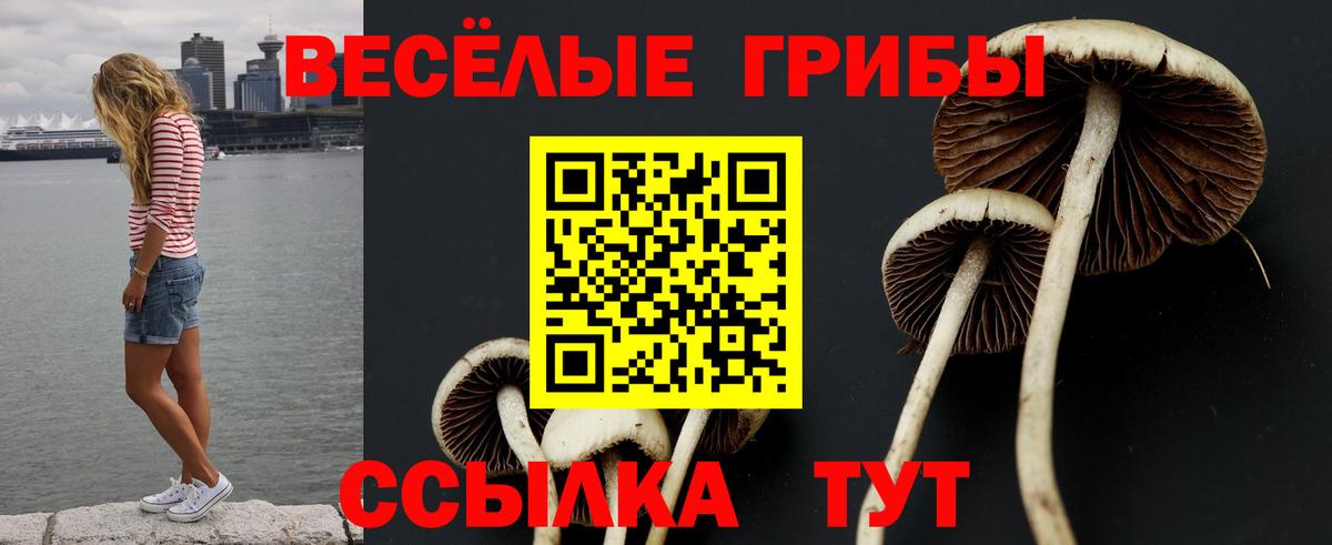 Озёры  Галлюциногенные грибы Cubensis  Вход с VPN 